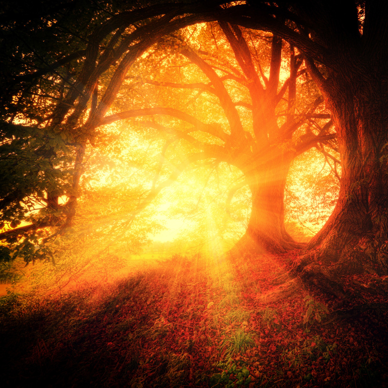 Playhouse Stories On Commaful