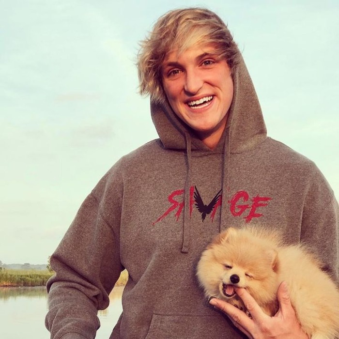 Logan Paul Has Gained 100k Subscribers Since The Incident | Youtuber ...