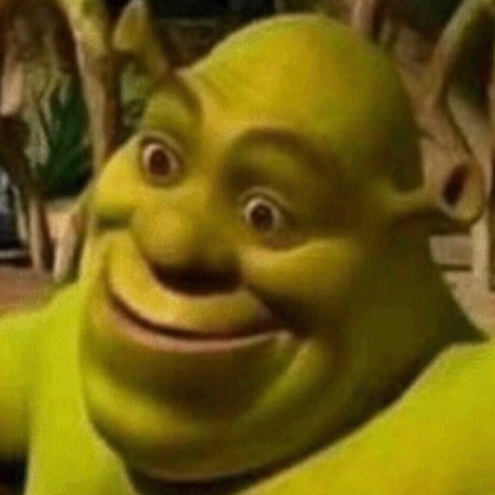 Welcome to the Shrek Account This post is made by someone who posts on ...