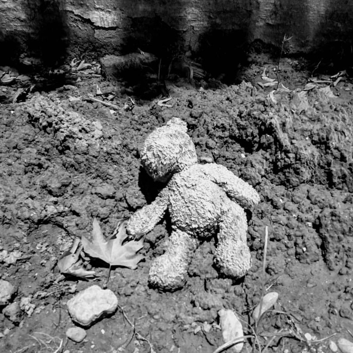 Death of the teddy bear | evantheschurink | Commaful