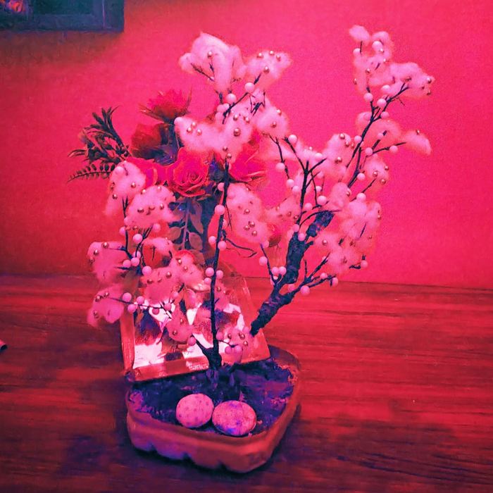 Story image