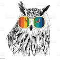 owlinrainbowgla