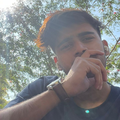 ariezzog