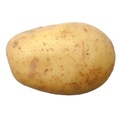 potato1995