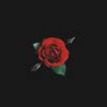 rose_lyrics