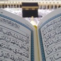 thedailyhadith