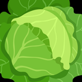 cabbagefanatic