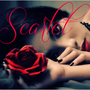 Scarlet love stories