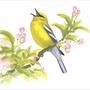 Songbird










by Lester W. bird stories