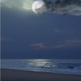 Moonlit Seashore nightprompt stories