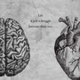 brain & heart acrostic stories