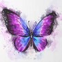Butterfly Effect butterfly stories