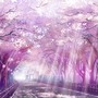 𝐂𝐡𝐞𝐫𝐫𝐲 𝐁𝐥𝐨𝐬𝐬𝐨𝐦 𝐓𝐫𝐞𝐞 cherry blossom stories