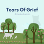 Tears of Grief  grief stories