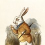 Inside The Mind Of The White Rabbit  poem stories