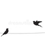 two birds on a wire song stories