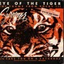 eye of the tiger tiger stories