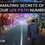 Meaning of Life Path Number & How to Calculate Them | Tarot Life stories