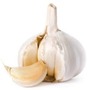 Missing garlic garlic for life! stories