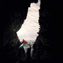 Free Palestine  freepalestine stories